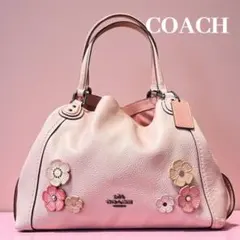 2026年最新】coach ティーローズの人気アイテム - メルカリ