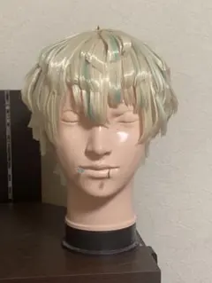 2026年最新】緋八マナ ウィッグの人気アイテム - メルカリ