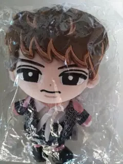 2026年最新】向井康二 ぬいぐるみの人気アイテム - メルカリ