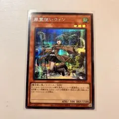 2026年最新】風霊使いウィン 絵違いの人気アイテム - メルカリ