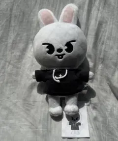 2026年最新】リービット オリジナルの人気アイテム - メルカリ