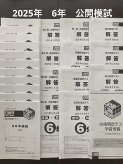 2026年最新】日能研 全国公開模試 4年の人気アイテム - メルカリ