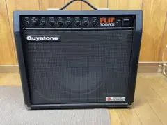 2026年最新】スピーカー グヤトーンの人気アイテム - メルカリ