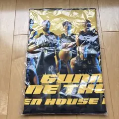 2026年最新】群馬クレインサンダーズ タオルの人気アイテム - メルカリ