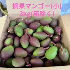 2026年最新】摘果マンゴーの人気アイテム - メルカリ