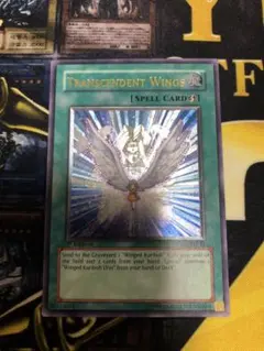 2026年最新】進化する翼 レリーフの人気アイテム - メルカリ