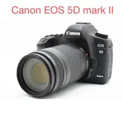 2026年最新】canon eos 5d mark ii レンズの人気アイテム - メルカリ