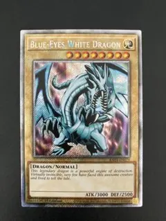 2026年最新】初期 ブルーアイズホワイトドラゴンの人気アイテム - メルカリ
