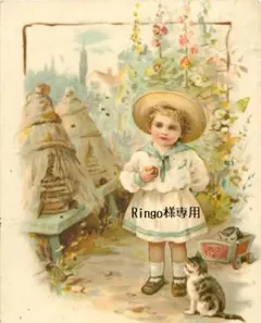 2026年最新】ビスクヘッドの人気アイテム - メルカリ