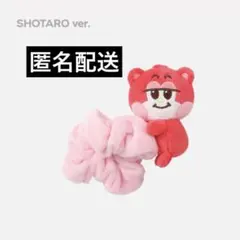 2026年最新】RIIZE ショウタロウ ぬいぐるみの人気アイテム - メルカリ