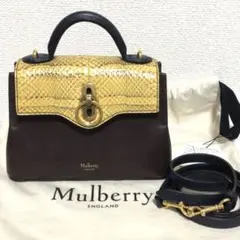 2026年最新】mulberry シートンの人気アイテム - メルカリ
