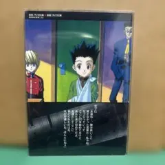 2026年最新】カードダスマスターズ ハンターハンターの人気アイテム