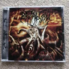 2026年最新】ブルータル・デスメタルの人気アイテム - メルカリ