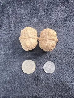 2026年最新】文玩核桃の人気アイテム - メルカリ