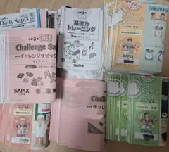 2026年最新】デイリーサピックス 3年の人気アイテム - メルカリ