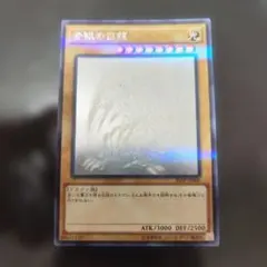 2026年最新】青眼の亜白龍 ホログラフィックの人気アイテム - メルカリ