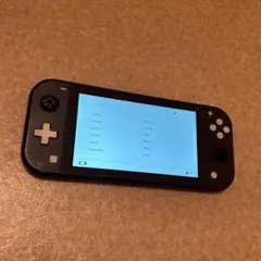 2026年最新】ニンテンドースイッチライトジャンクの人気アイテム