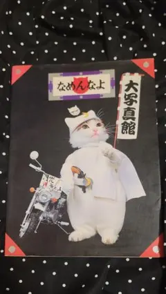 2026年最新】なめ猫 写真集の人気アイテム - メルカリ