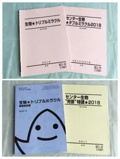 2026年最新】駿台 ミラクルの人気アイテム - メルカリ