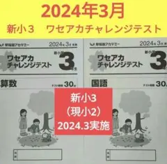 2026年最新】チャレンジ2年生 2022の人気アイテム - メルカリ