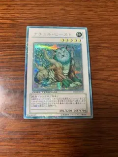 2026年最新】ナチュルビースト シークレットの人気アイテム - メルカリ