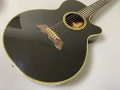 2026年最新】takamine pt-108の人気アイテム - メルカリ