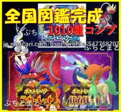 2026年最新】メロエッタ ソフトの人気アイテム - メルカリ