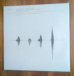 2026年最新】シンシロ サカナクションの人気アイテム - メルカリ