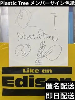 2026年最新】plastic tree サインの人気アイテム - メルカリ