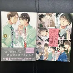 2026年最新】30歳まで童貞だと魔法使いになれるらしい 特装版の人気