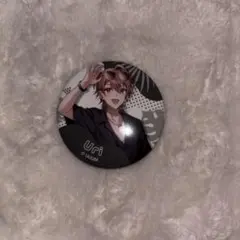 2026年最新】カラフルピーチ サマーランド 缶バッジ うりの人気