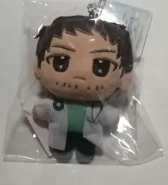 ニトロキラル スロウダメージ キラメモ ぬいパル ぬいぐるみマスコット