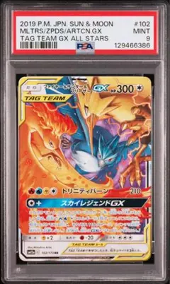 2026年最新】ファイヤー&サンダー&フリーザーgx sa psa10の人気
