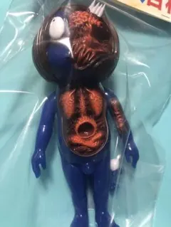 2026年最新】鬼太郎解剖図の人気アイテム - メルカリ