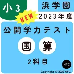 2026年最新】浜学園 小3 公開テストの人気アイテム - メルカリ