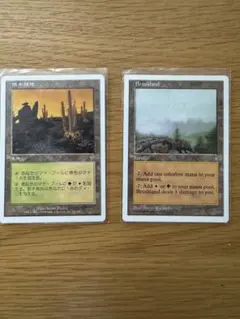 2026年最新】低木林地の人気アイテム - メルカリ