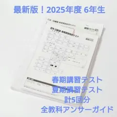 2026年最新】日能研 テキストの人気アイテム - メルカリ