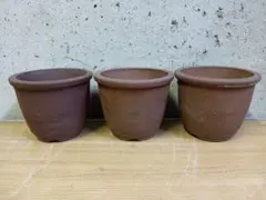 2026年最新】伝市鉢の人気アイテム - メルカリ