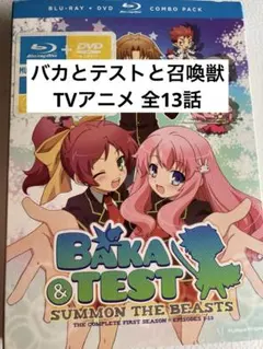 2026年最新】バカとテストと召喚獣 dvdの人気アイテム - メルカリ