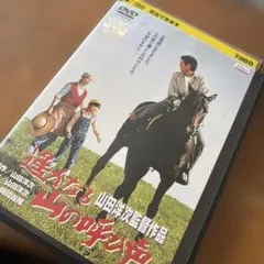 2026年最新】遥かなる山の呼び声の人気アイテム - メルカリ