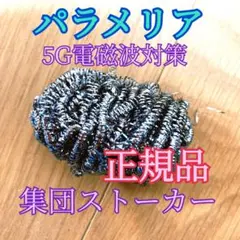 2026年最新】電磁波対策 集団ストーカーの人気アイテム - メルカリ