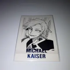 2026年最新】ぱしゃこれ カイザーの人気アイテム - メルカリ