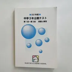 2026年最新】馬渕教室 公開テスト 中3の人気アイテム - メルカリ