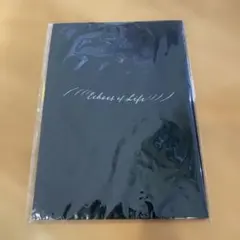 2026年最新】羽生結弦 エコーズの人気アイテム - メルカリ