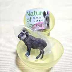 2026年最新】オウゴンオニクワガタの人気アイテム - メルカリ