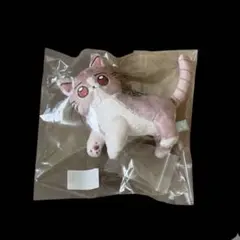 2026年最新】ずっと真夜中でいいのに。 ぬいぐるみ ずとまよの人気