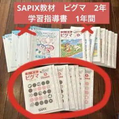 2026年最新】サピックス ピグマの人気アイテム - メルカリ