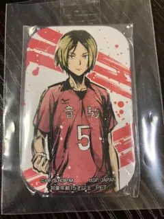 2026年最新】ハイキュー！！歓喜の鼓動スクエア缶バッジの人気アイテム