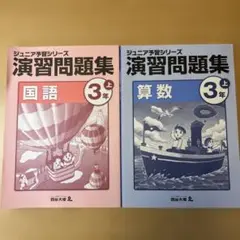 2026年最新】ジュニア予習シリーズ 3年の人気アイテム - メルカリ
