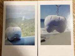 2026年最新】ADO モナリザ チェキの人気アイテム - メルカリ